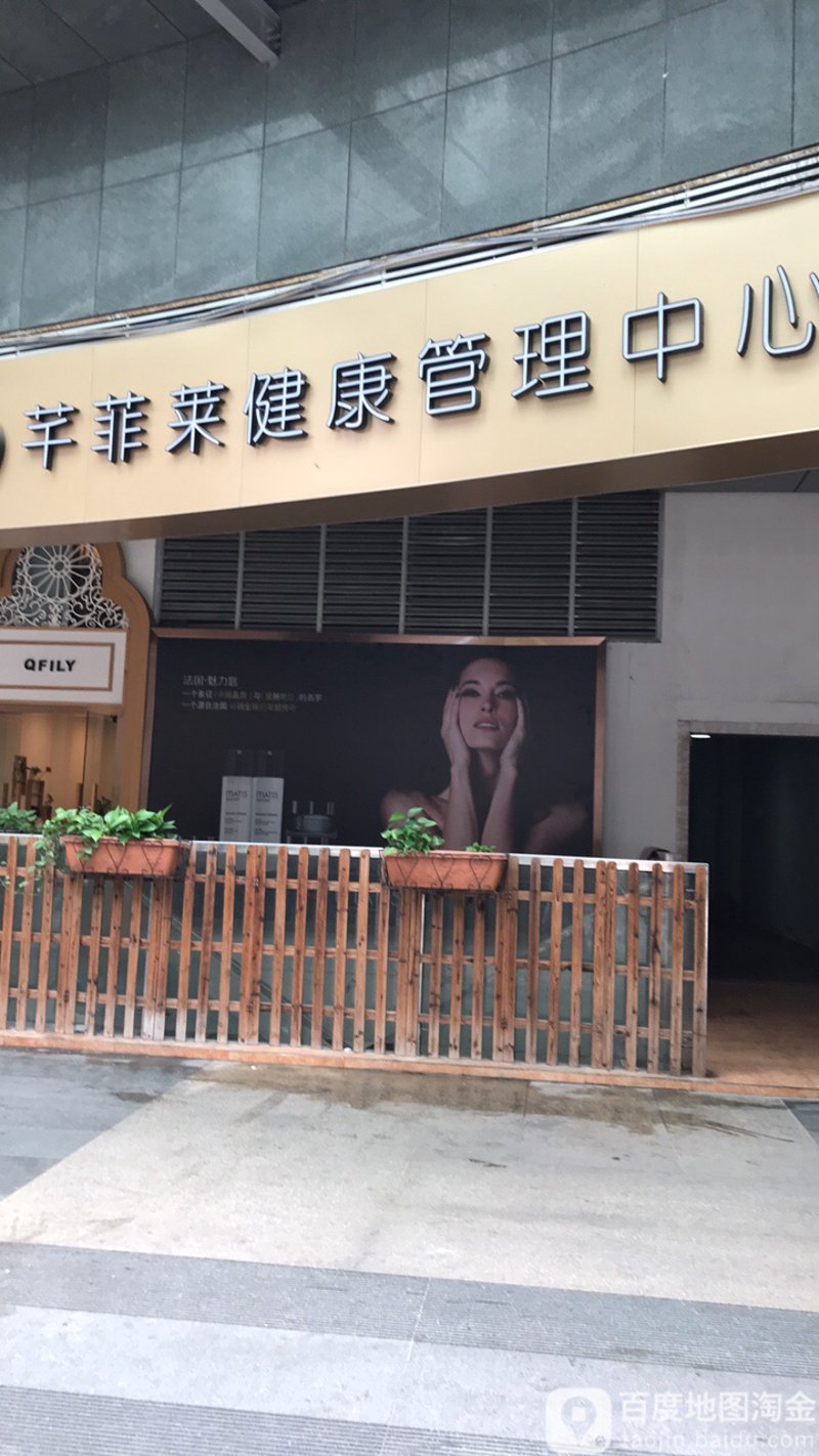 健康管理:拥抱健康生活的全新理念